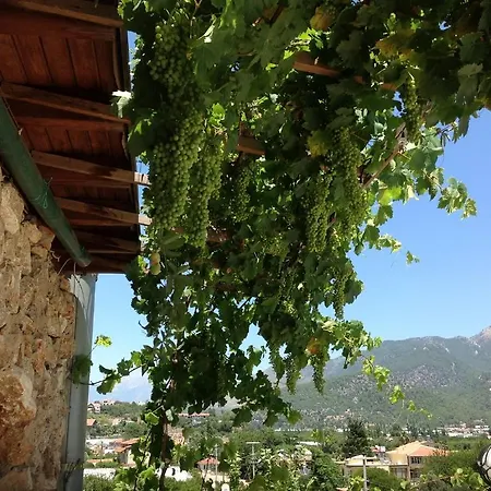 Hotel Kybele Adrasan